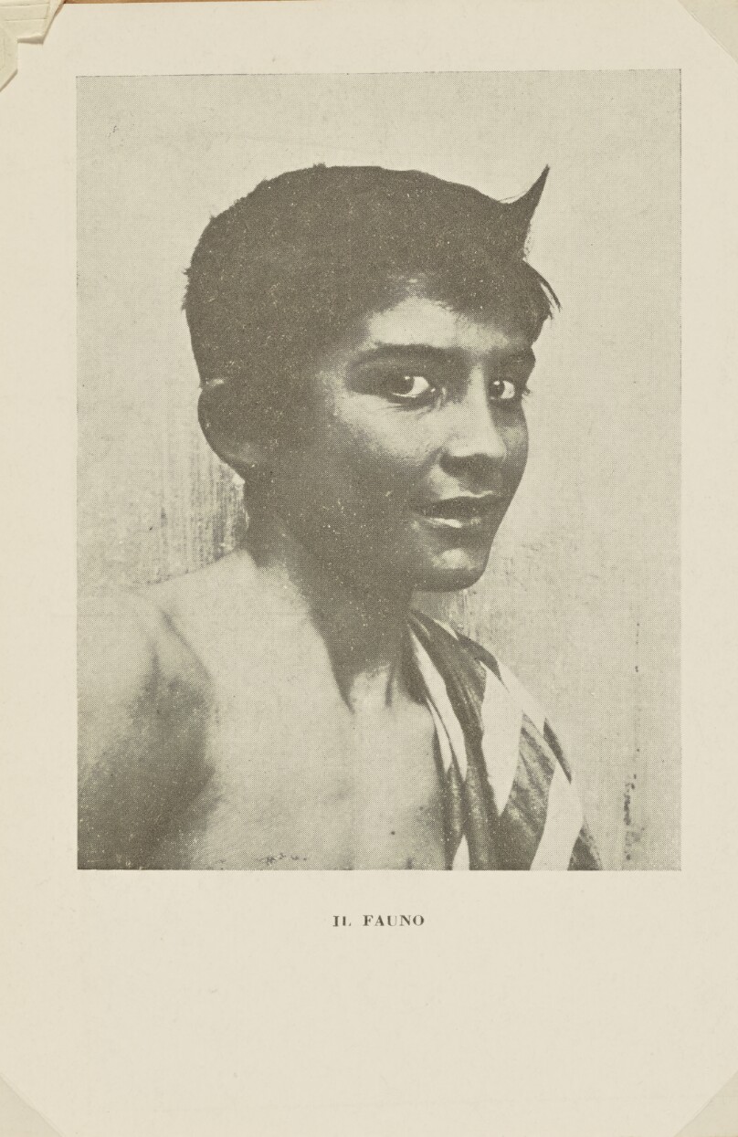 Il Fauno