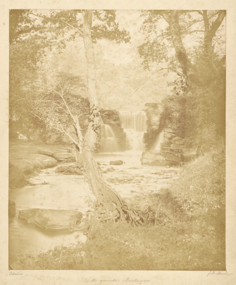 In the Grounds, Penllergare.