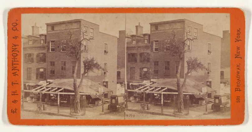 The old Stuyvesant Pear Tree, corner 3d Avenue and 13th St. [New York City]