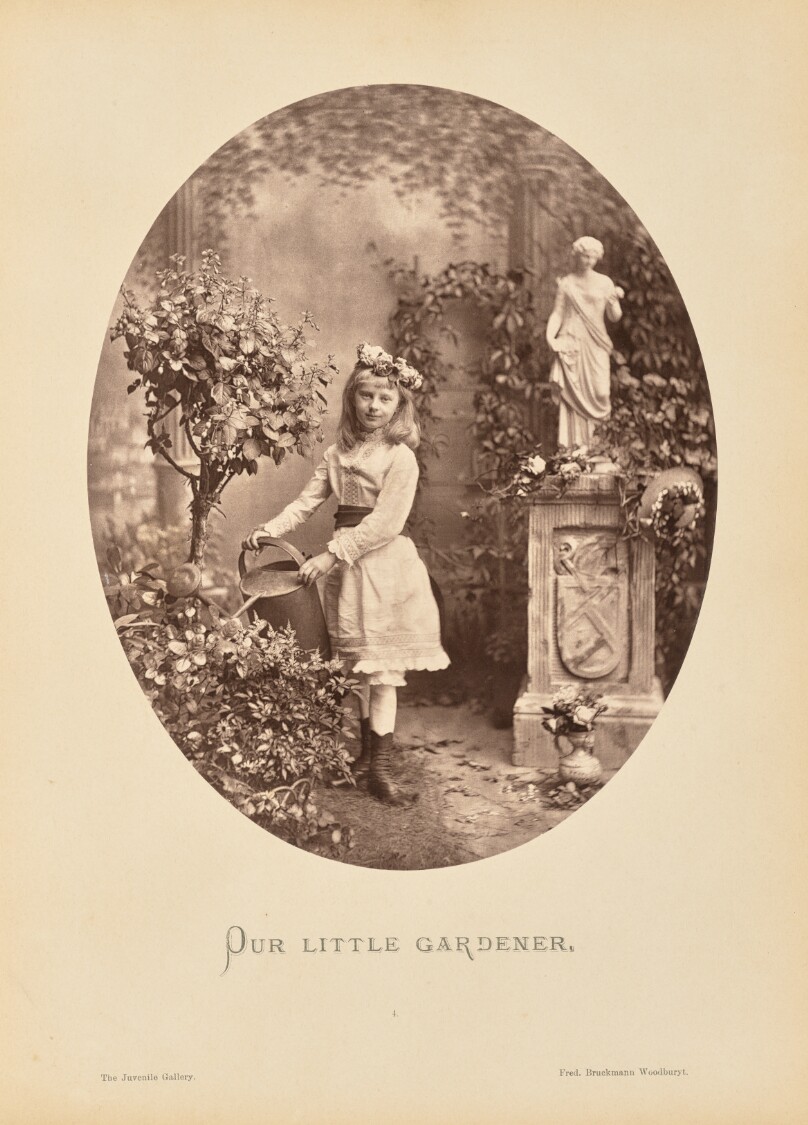 Our little gardener