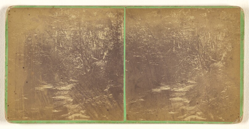 Looking up the Central Ravine. [Ensenore Glen, N.Y.]