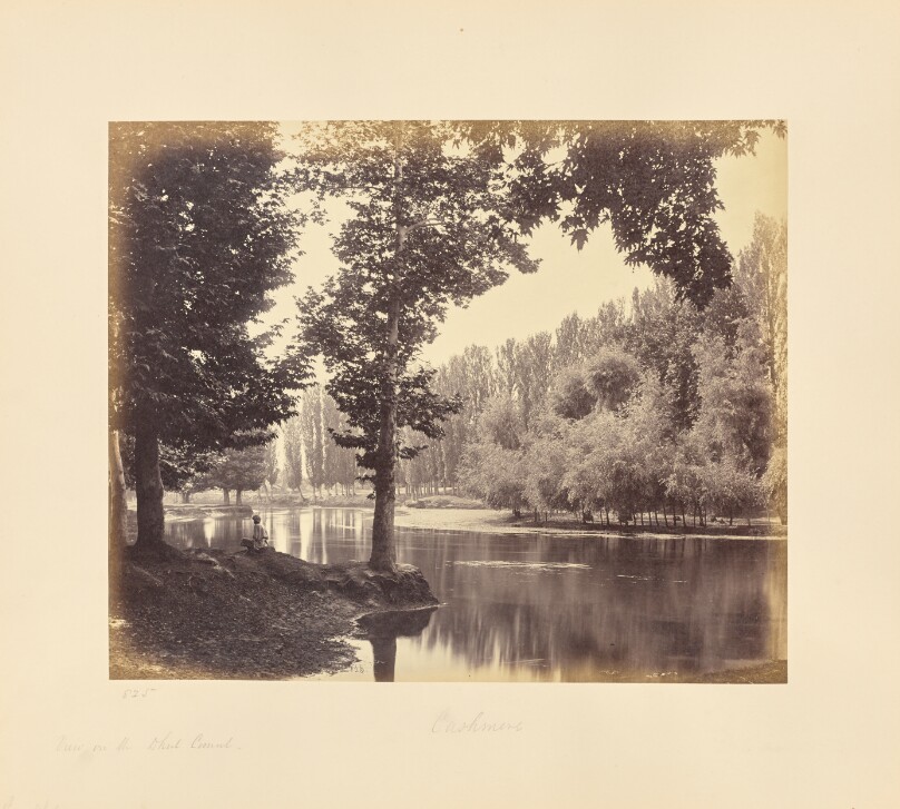 Srinuggur; A View on the Canal