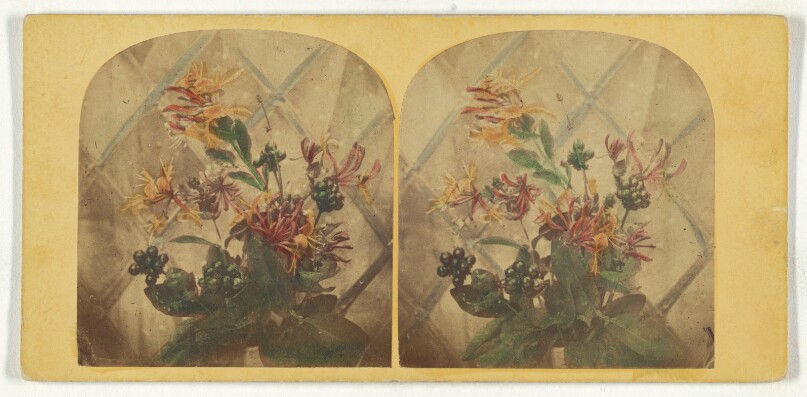 [Flower arrangement]