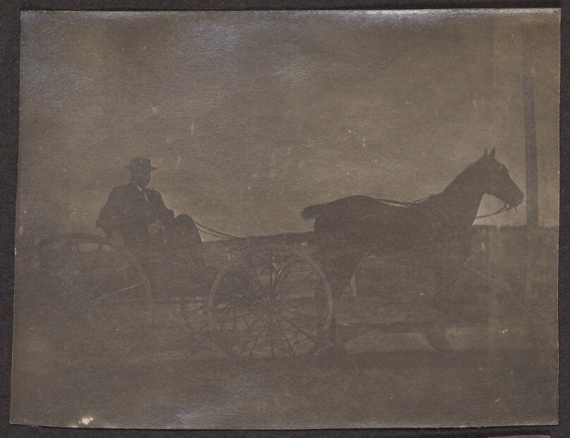 [Man in a horse-drawn carriage]