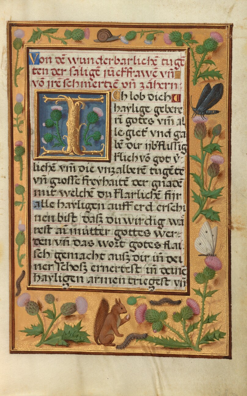 Decorated Text Page