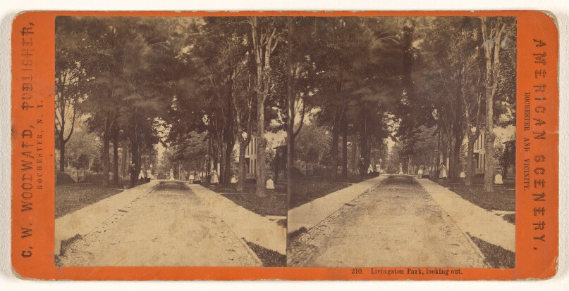Livingston Park, looking out.