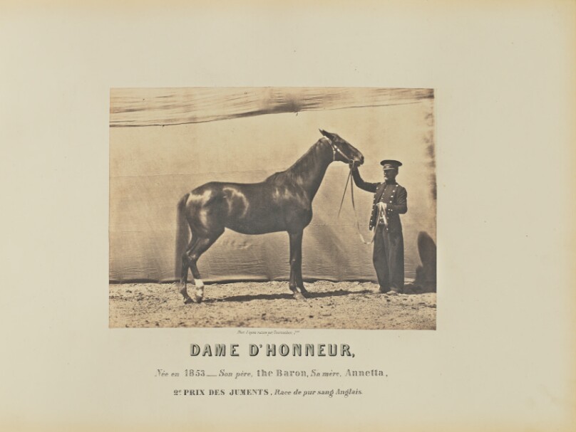 Dame D'Honneur