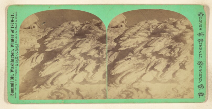 Frost Feathers. [Mt. Washington, N.H.]