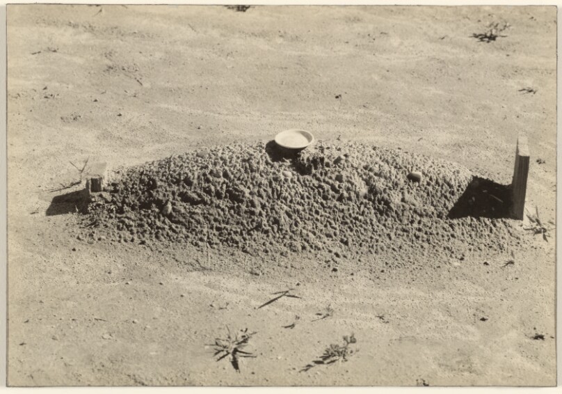 A Baptist Grave, Hale County, Alabama