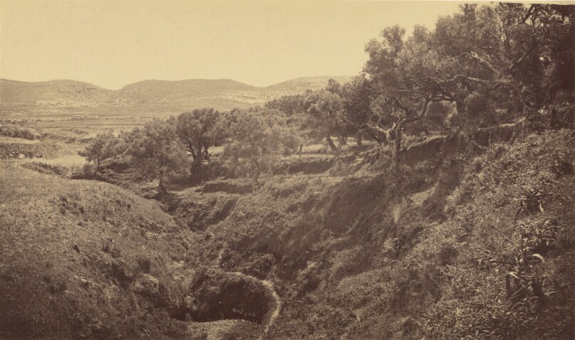 Kaleppa [view of countryside].