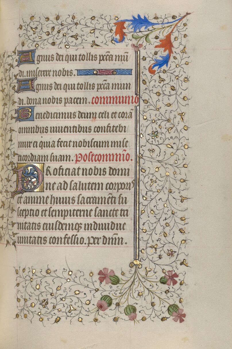 Decorated Initial P