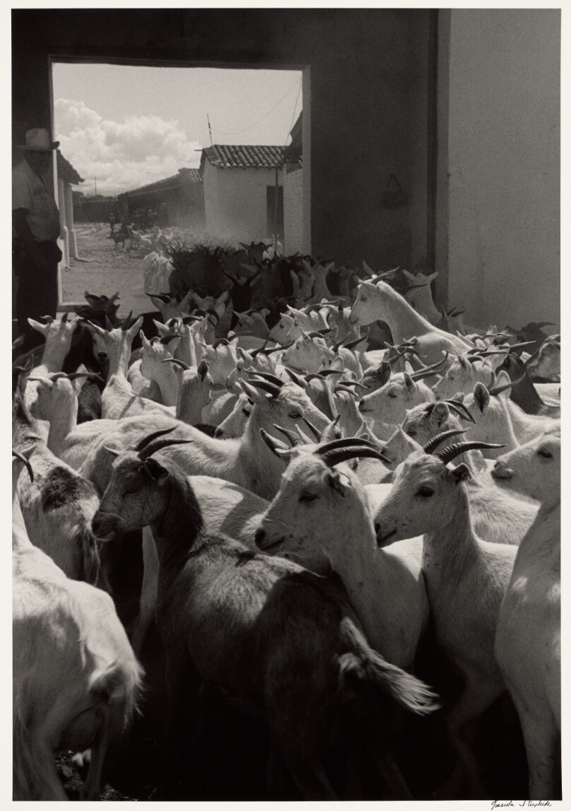 Graciela Iturbide