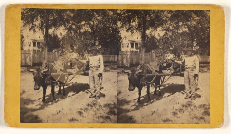 [Uncle Isaac Selling Wood]
