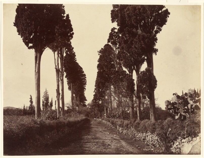 Hagia Triada (Avenue)