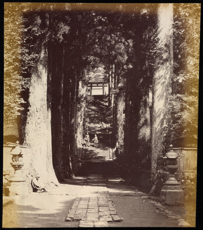 [Avenue of Trees leading to a Temple in Hakoni]