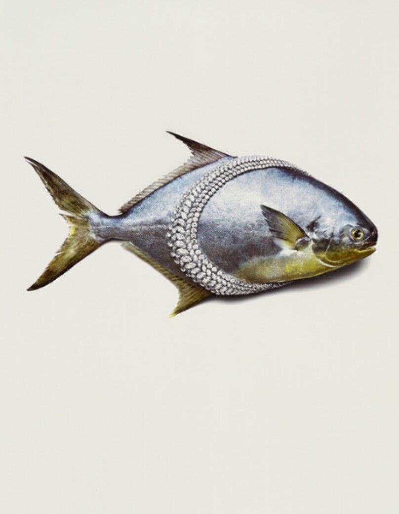 Van Cleef & Arpels Necklace with Fish, New York