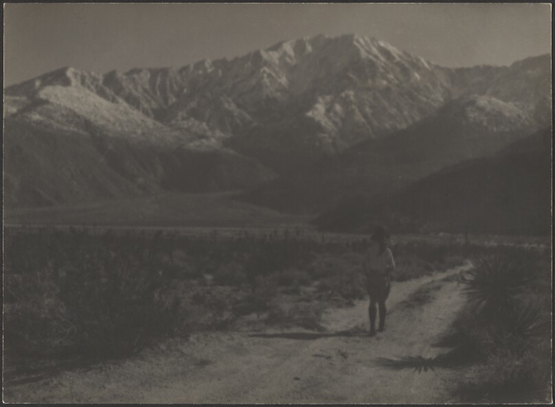 [Woman Walking on Path Towards Mountains]