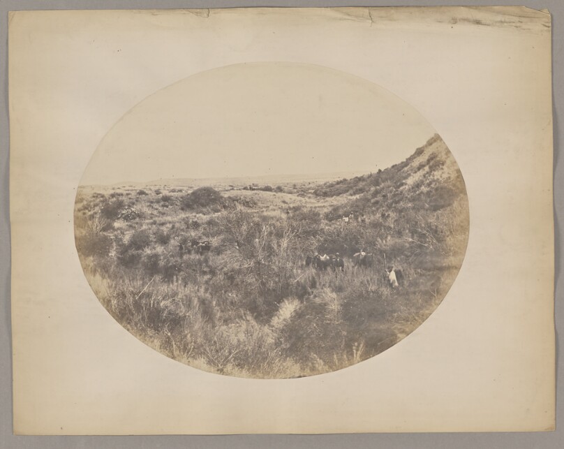 [Camp Scene Along the 32rd Parallel Kansas-Pacific Survey]