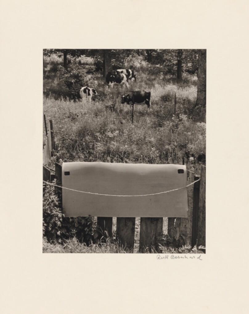 Wisconsin Meadow