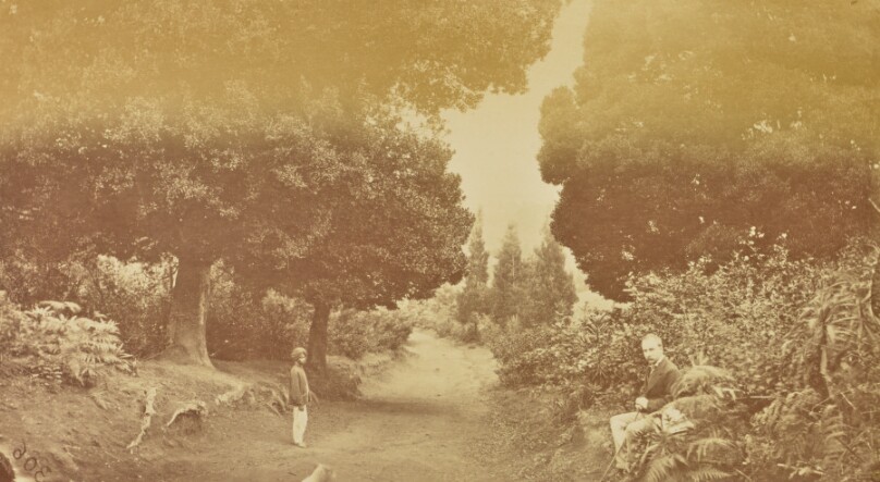 [Pathway through Landscape]