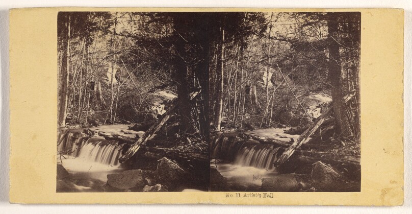 Artist's Fall