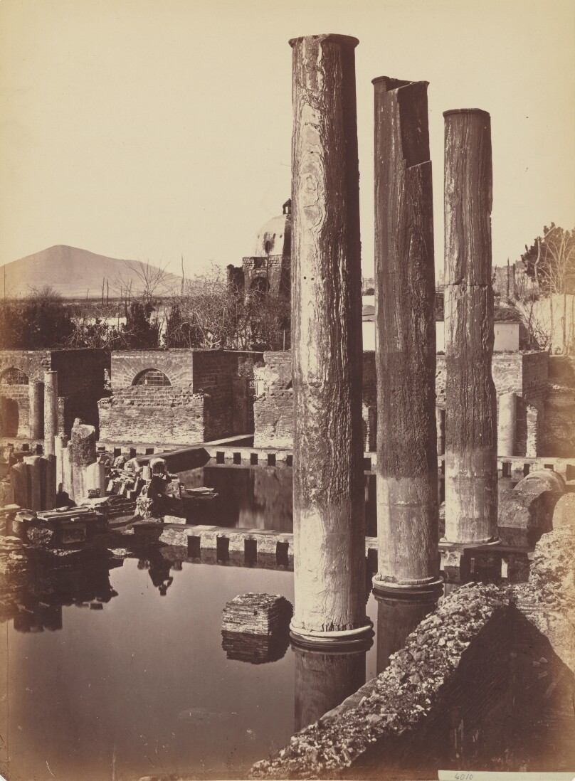 [Columns]