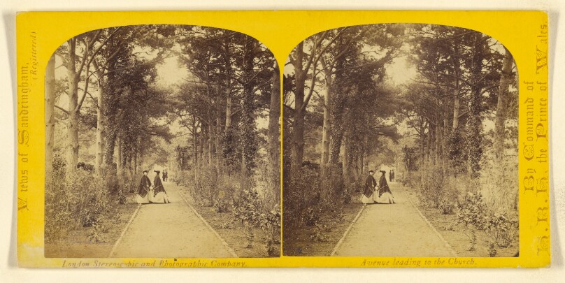 Avenue leading to the Church. [Sandringham, England]