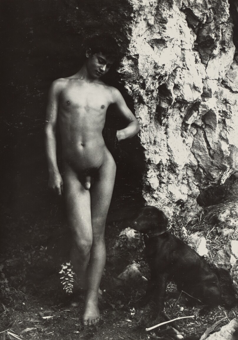 [Boy standing near dog]