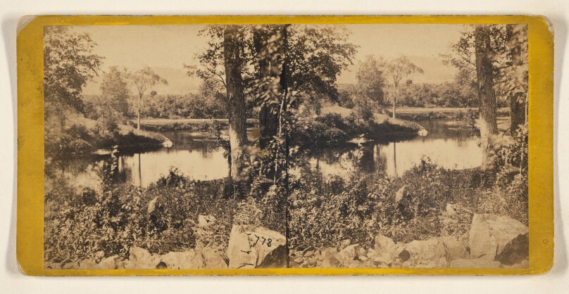 Hills and Dales of New England. Shadows of the Passumpsic. Tyler's Paradise, St. Johnsbury, Vt.