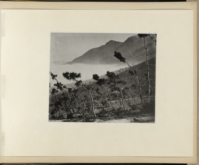 [On the Road to Kushan]