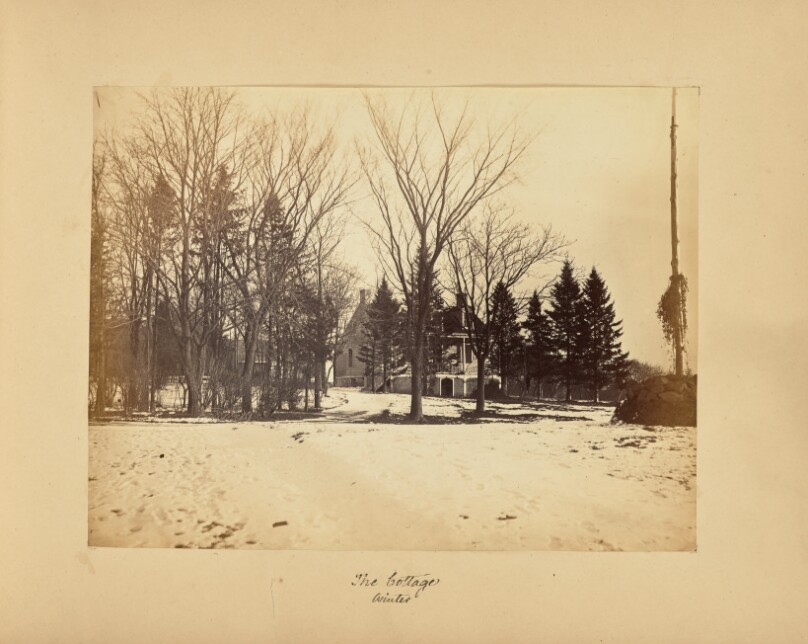 The Cottage - Winter
