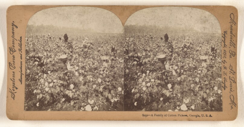 A Family of Cotton Pickers, Georgia, U.S.A.