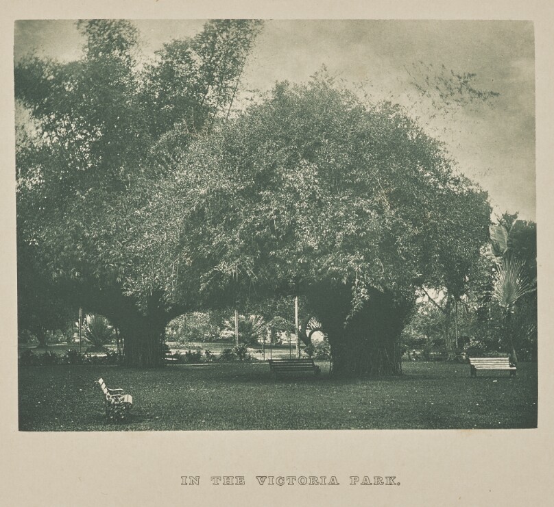 In the Victoria Park