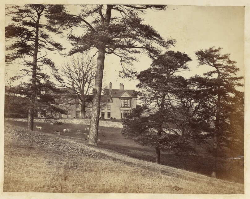 [House seen through trees]