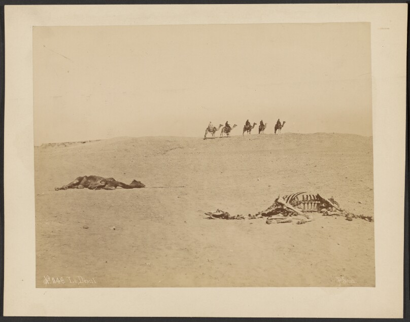 Le Desert