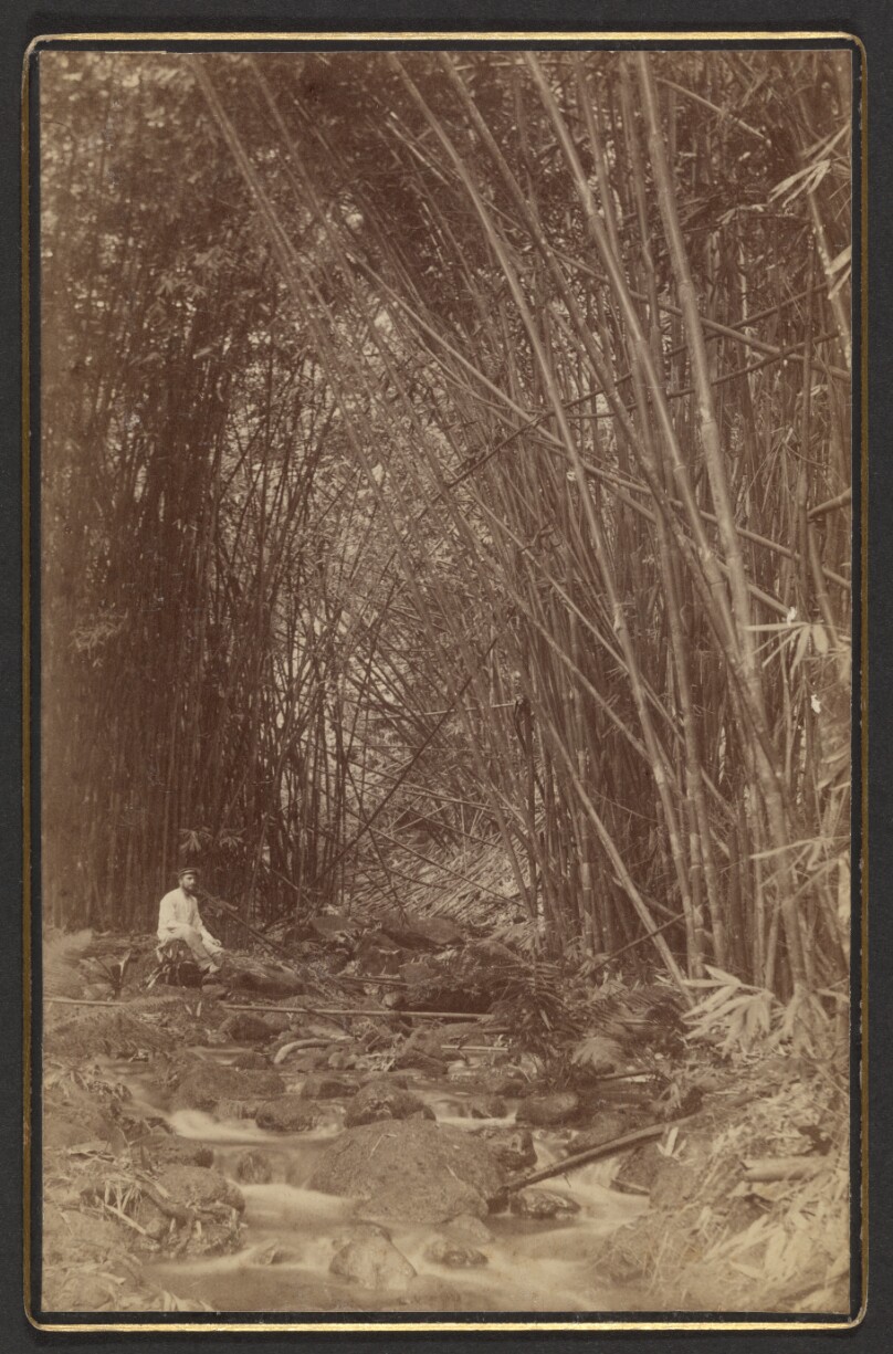 [Man sitting by forest stream]