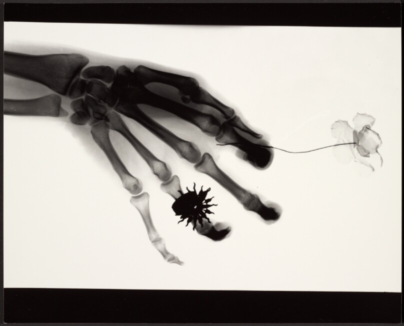 A Giving Hand