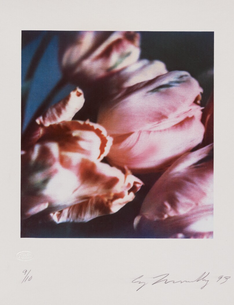 Tulips III no. 1
