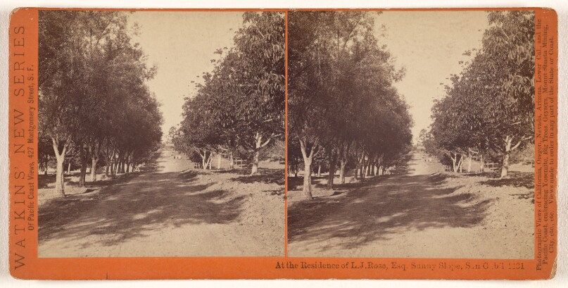 At the Residence of L.J. Rose, Esq. Sunny slope, San Gab'l