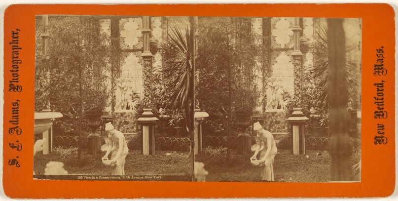 View in a Conservatory, Fifth Avenue, New York.