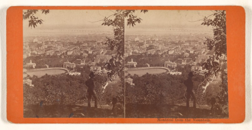Montreal from the Mountain.