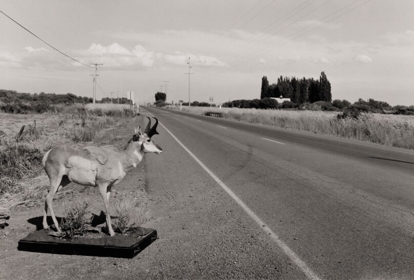 Near Burns, Oregon