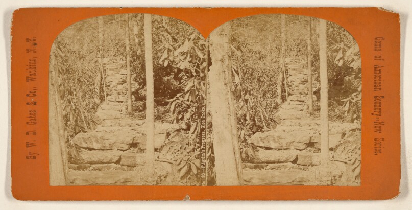 Pilgrim's Progess, Glen Onoko.