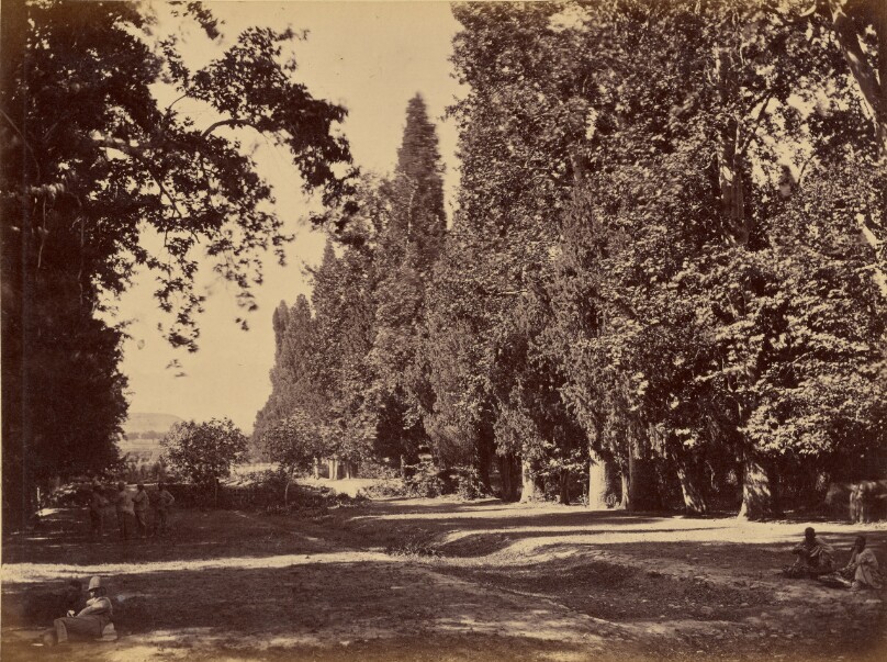 Nimlah Bagh below Safed Sang