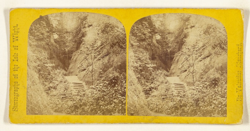 Shanklin Chine. [Isle of Wight]