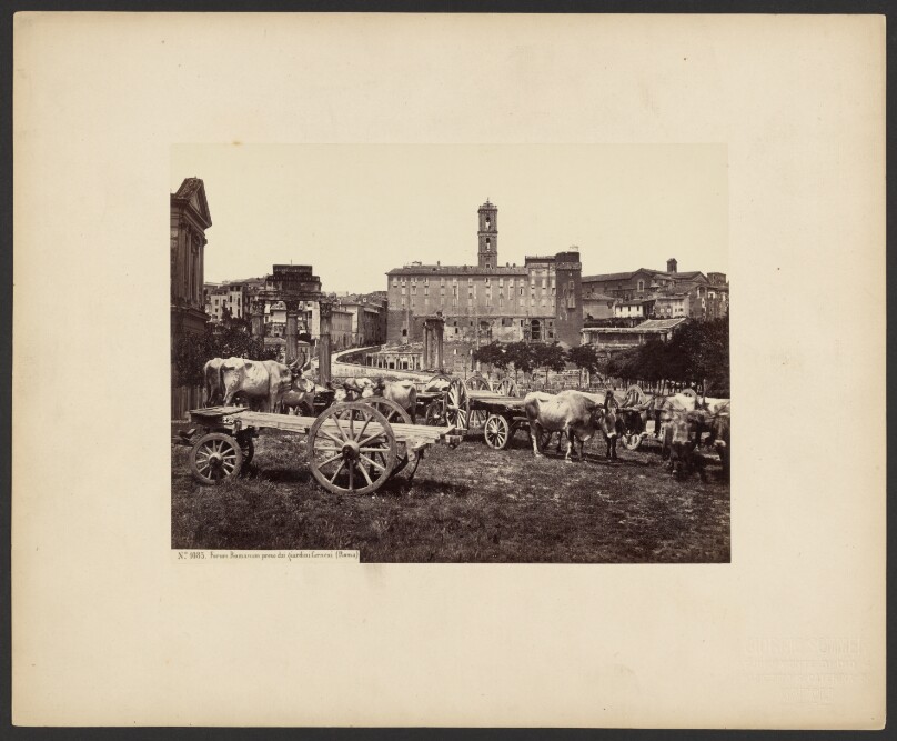 Roman Forum, taken from the Farnesi Gardens