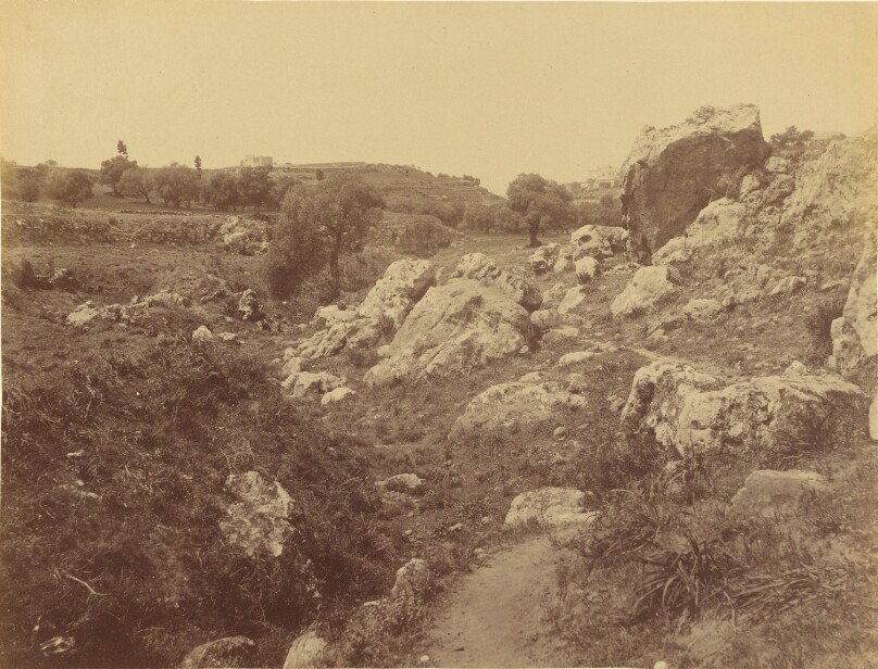 Grand ravin [Kaleppa, Crete].