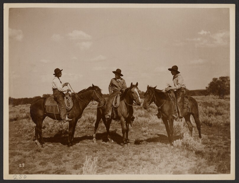 [A Typical Trio]