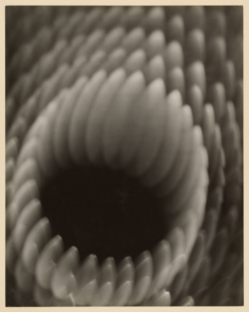 [Light abstraction]