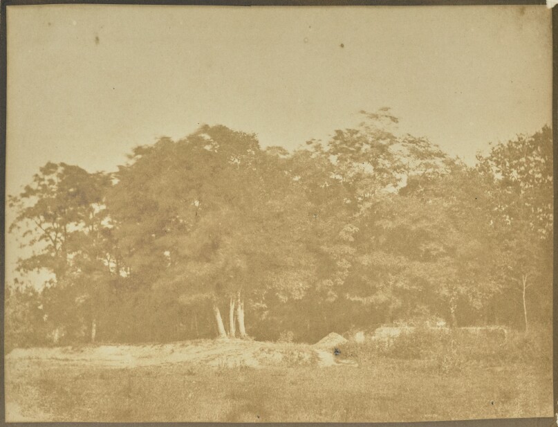 [Landscape with Trees and Field]